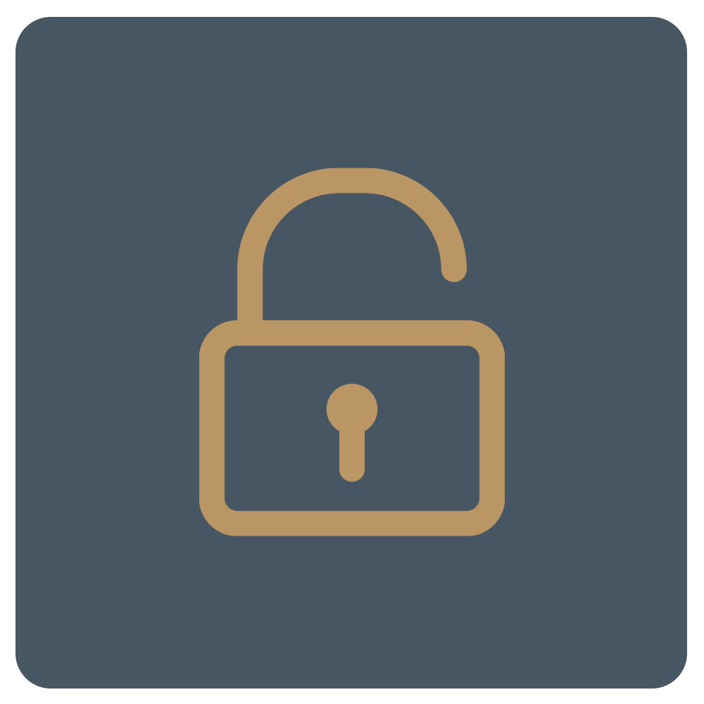 Online Banking Icon
